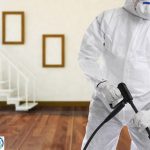 علاج النمل الابيض بالجدار