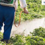رش مبيدات حشرية بالرياض