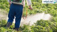 رش مبيدات حشرية بالرياض