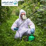 شركة رش مبيدات بالخرج مكافحة حشرات