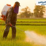 شركة رش دفان بالخرج