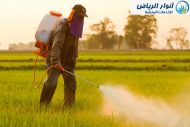 شركة رش دفان بالخرج
