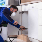 شركة رش مبيدات بجازان