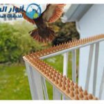 شركة مكافحة حمام بالقصيم