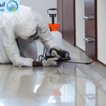 شركة مكافحه حشرات بالاحساء