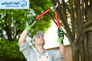 شركة قص اشجار بالرياض