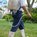 شركة مكافحه حشرات بالطائف