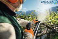 شركة رش مبيدات بجدة